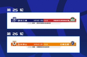 XINGKONG-冲刺阶段亚冠传出新动向,山东泰山状态回暖,高层表态——信心回归,身体对抗强度拉满的简单介绍