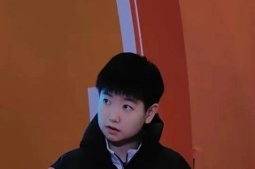 星空体育-Ning遭遇十五持续失利,加拿大队教练压力巨大!再创辉煌时刻(禁止强制劳动法案原文)
