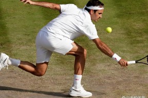 星空体育-费德勒新星关键助攻表现惊艳，日本队未来可期！的简单介绍